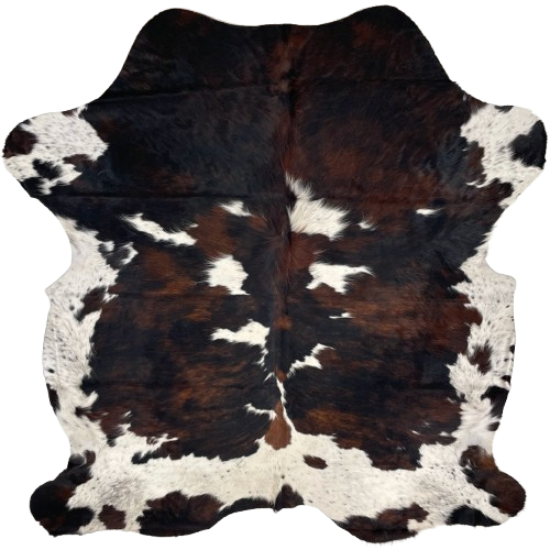 Colombian Tricolor Cowhide: white, with black speckles, and large and small spots that have a mix of black and brown - 7' x 5'10" (COTR1379)