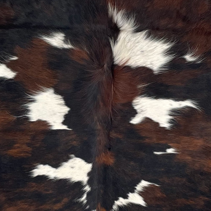 Closeup of this Colombian Tricolor Cowhide, showing white, with black speckles, and large spots that have a mix of black and brown (COTR1379)