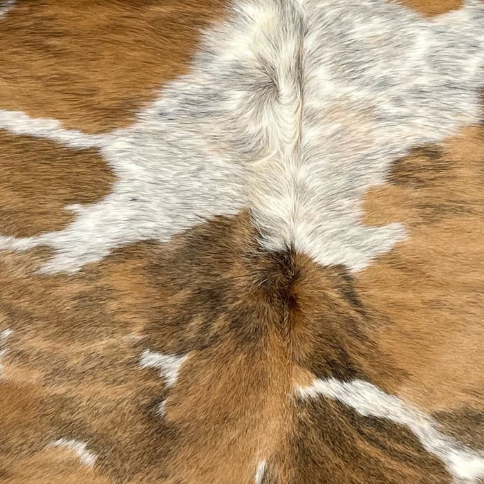 Closeup of this Colombian Speckled Tricolor Cowhide, showing white, with black and light brown speckles, and large and small spots that have a light brown and black, brindle pattern  (COTR1381)