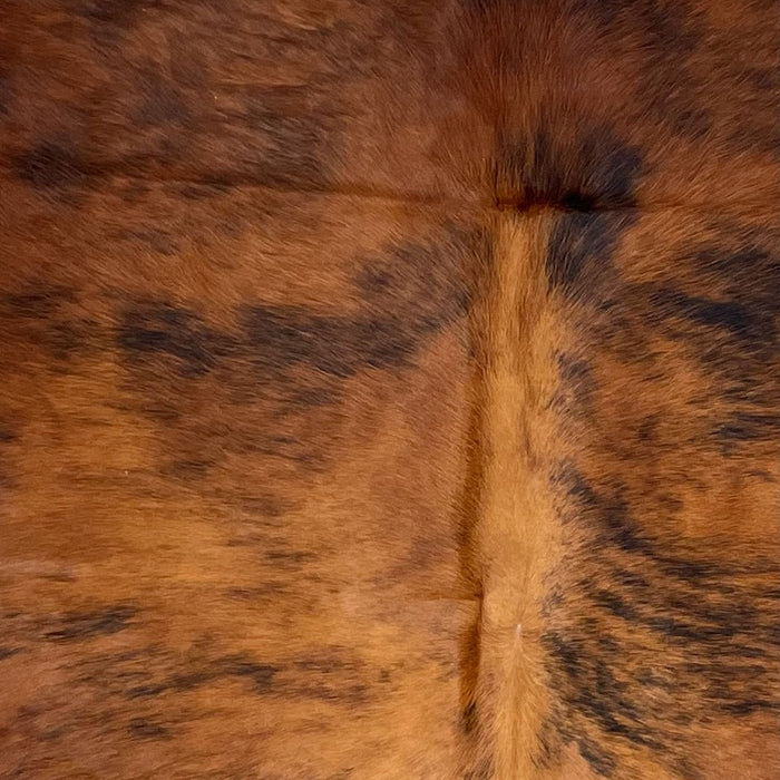 CLoseup of this Colombian Tricolor Cowhide, showing a reddish brown and black, brindle pattern  (COTR1382)