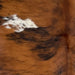 Closeup of this Colombian Tricolor Cowhide, showing a reddish brown and black, brindle pattern and a small, white spot with reddish brown and black speckles (COTR1384)