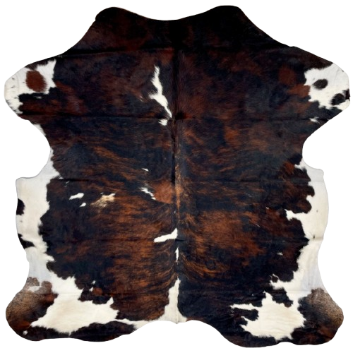 Colombian Dark Tricolor Cowhide: has a black and reddish brown, brindle pattern, with a few small white on the back, and white on the belly and part of the butt - 6'1" x 5'4" (COTR1385)