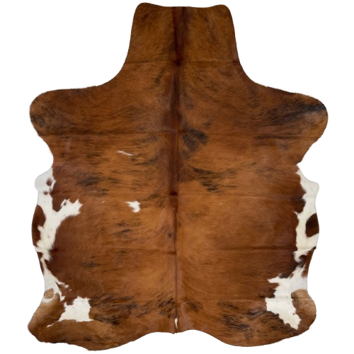 Colombian Tricolor Cowhide: reddish brown, with some black, brindle markings, a couple small, white spots on the back, and white on the belly - 6'5" x 4'11" (COTR1388)