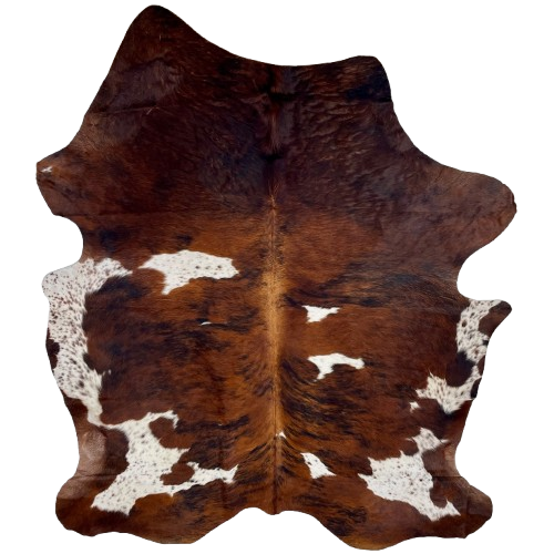 Colombian Tricolor Cowhide: has a reddish brown and black, brindle pattern, and white spots with reddish brown and black speckles - 7'4" x 5'6" (COTR1391)