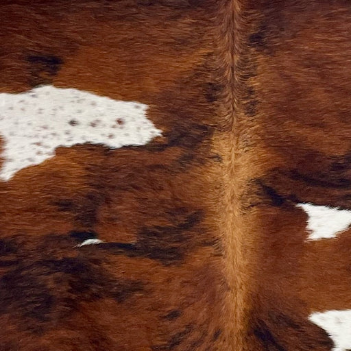 Closeup of this Colombian Tricolor Cowhide, showing a reddish brown and black, brindle pattern, and white spots with reddish brown and black speckles (COTR1391)