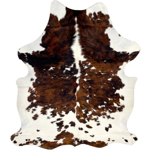 Tricolor Colombian Cowhide: white with large and small spots having a reddish brown and black, brindle pattern- 7'3" x 5'4" (COTR1393)