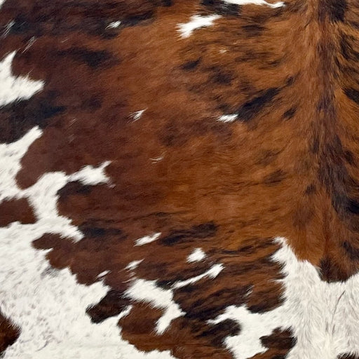 Closeup of this XL Colombian Tricolor Cowhide, showing white with reddish brown and black speckles, and large and small spots that have a reddish brown and black, brindle pattern  (COTR1394)