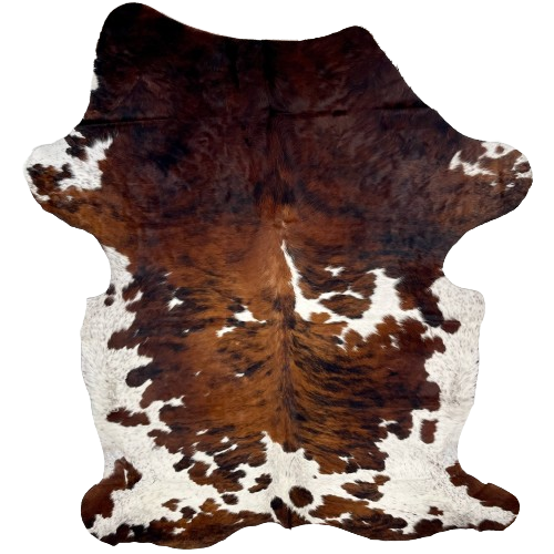 XL Colombian Tricolor Cowhide: white with reddish brown and black speckles, and large and small spots that have a reddish brown and black, brindle pattern, and the shoulder is mostly solid with a mix of reddish brown and black - 8'5" x 5'8" (COTR1394)