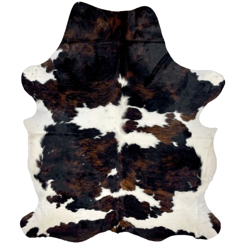 XL Colombian Tricolor Cowhide: white with large and small spots that have a black and dark brown, brindle pattern - 8' x 5'10" (COTR1396)
