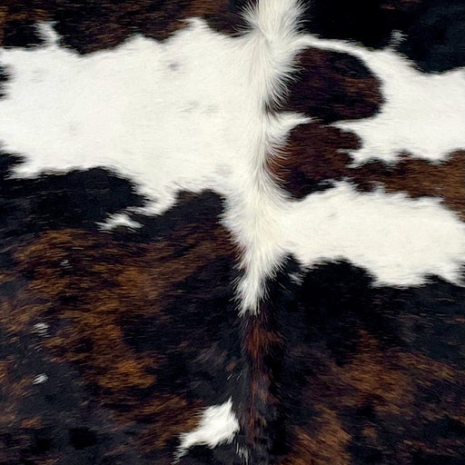 Closeup of this XL Colombian Tricolor Cowhide, showing white with large and small spots that have a black and dark brown, brindle pattern (COTR1396)
