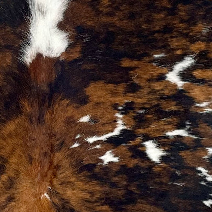 Closeup of this Large Colombian Tricolor Cowhide, showing a brown and black, brindle pattern and small white spots, some having faint, black speckles (COTR1397)