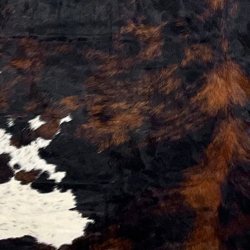 Closeup of this XL Colombian Tricolor Cowhide, showing a mix of black and reddish brown, and small, white spots that have black speckles (COTR1398)