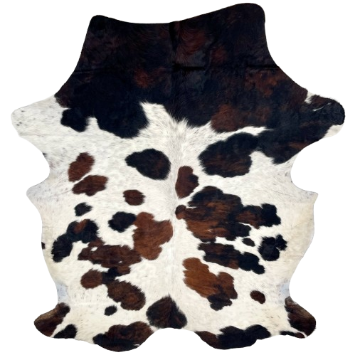Tricolor Speckled Colombian Cowhide: off-white with black speckles and large and small spots that have a mix of black and brown - 7'5" x 5'4" (COTR1400)
