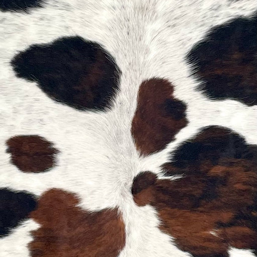 closeup of this Tricolor Speckled Colombian Cowhide, showing off-white with black speckles and large and small spots that have a mix of black and brown  (COTR1400)