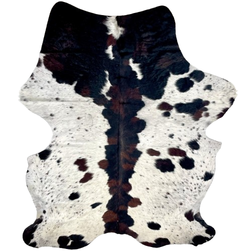 Large Speckled Colombian Tricolor Cowhide: off-white with black speckles, black and dark brown spots, and it has a mix of black and dark brown down the middle and on the shoulder - 7'11" x 5'7" (COTR1408)