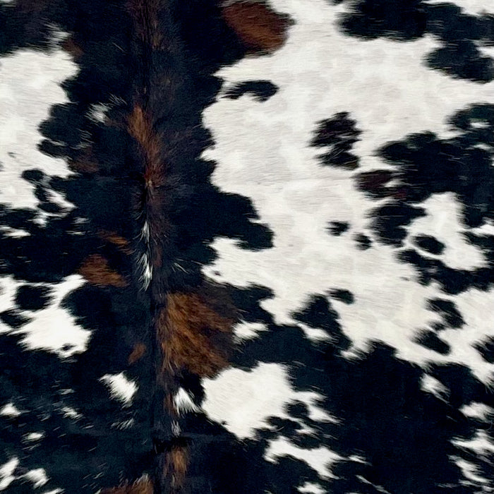 Closeup of this Large Colombian Tricolor Cowhide, showing white with large and small, black spots, with some brown mixed in down the spine and on the back, and it also has faint, cloudy black and brown spots  (COTR1423)
