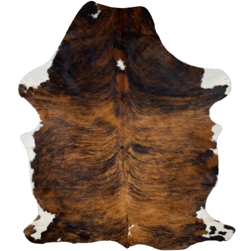 Colombian Tricolor Cowhide: has a reddish brown and black, brindle pattern, with two small whit spots on the shoulder, on in the middle of the butt, and white on part of the shanks and belly - 7'5" x 5'3" (COTR1425)
