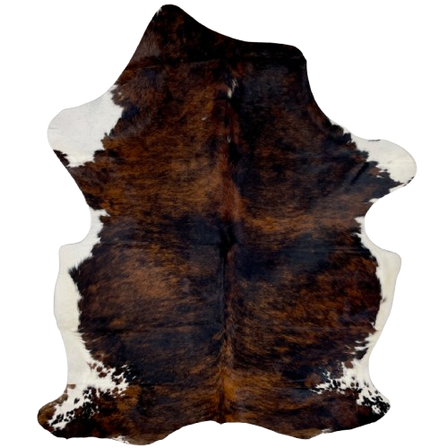 Large Colombian Tricolor Cowhide: has a mix of black and reddish brown, and white on part of the shanks and belly - 7'7" x 5'4" (COTR1426)