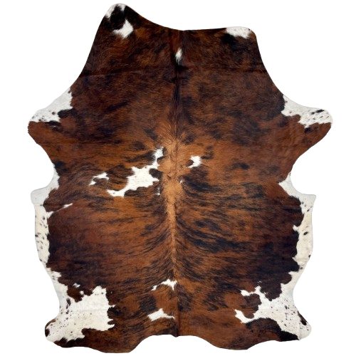 Large Colombian Tricolor Cowhide: has a reddish brown and black, brindle pattern, and white spots that have black and brown speckles - 7'11" x 5'9" (COTR1427)