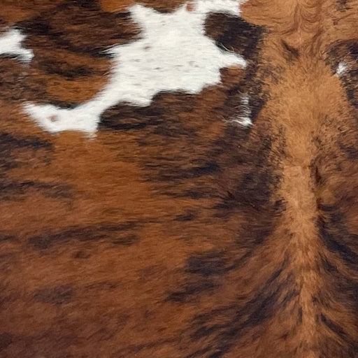 Closeup of this Large Colombian Tricolor Cowhide, showing a reddish brown and black, brindle pattern, and white spots that have black and brown speckles (COTR1427)