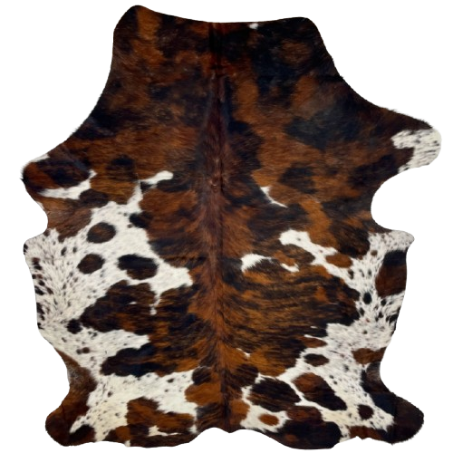 Colombian Tricolor Cowhide: white with black and brown speckles, and large and small spots that have a brown, reddish brown, and black, brindle pattern - 7'2" x 5'5" (COTR1429)