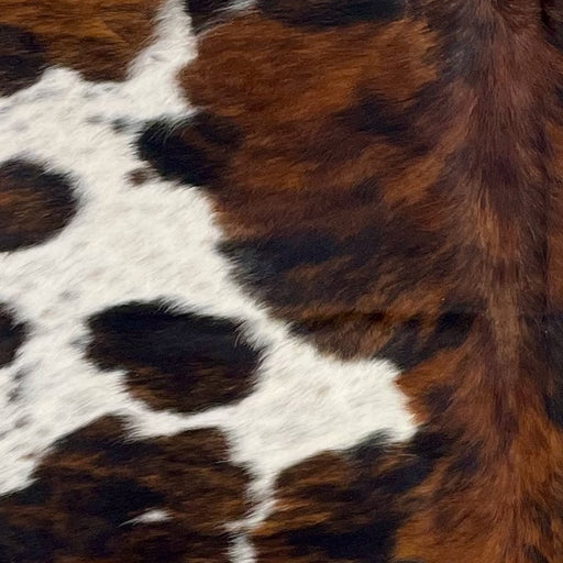 Closeup of this Colombian Tricolor Cowhide, showing white with black and brown speckles, and large and small spots that have a brown, reddish brown, and black, brindle pattern COTR1429)