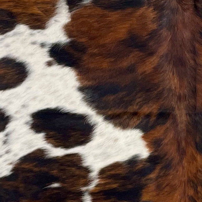 Closeup of this Colombian Tricolor Cowhide, showing white with black and brown speckles, and large and small spots that have a brown, reddish brown, and black, brindle pattern COTR1429)