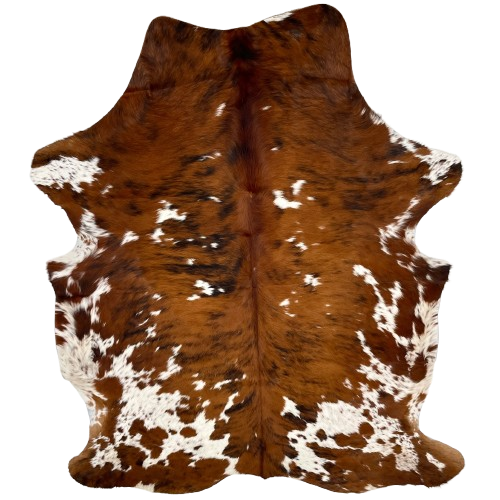 Colombian Tricolor Cowhide: has a red brown and black, brindle pattern with a few small white spots, and large and small, white spots that have red brown and black speckles - 6'11" x 5'1" (COTR1430)