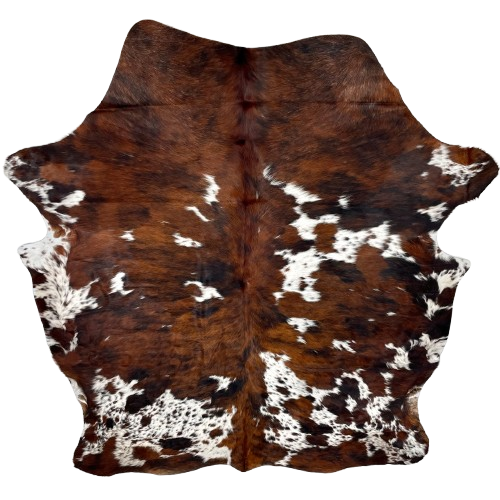 Colombian Tricolor Cowhide: has a brown and black, brindle pattern, and large and small, white spots that have brown and black speckles and spots- 7'2" x 5'10" (COTR1431)