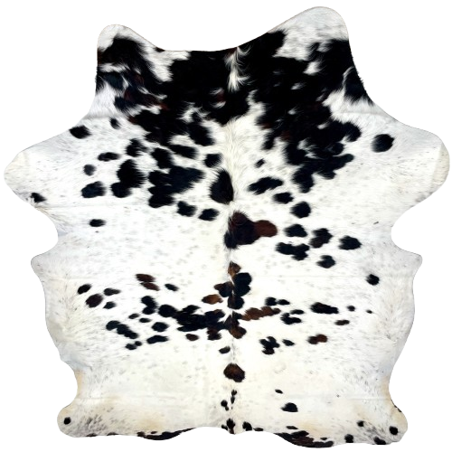 XL Colombian Speckled Tricolor Cowhide: white with faint, black speckles, and large and small, black and dark brown spots, and off-white on the butt and hind shanks - 8' x 6'1" (COTR1433)