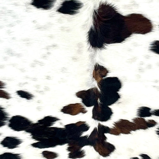 Closeup of this extra-large Colombian Speckled Tricolor Cowhide, showing white with faint, black speckles, and large and small, black and dark brown spots (COTR1433)
