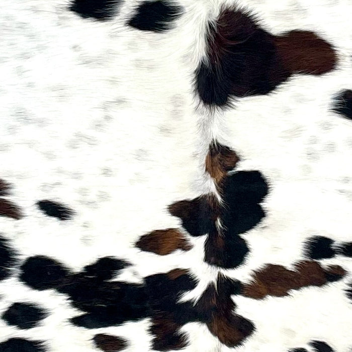 Closeup of this extra-large Colombian Speckled Tricolor Cowhide, showing white with faint, black speckles, and large and small, black and dark brown spots (COTR1433)