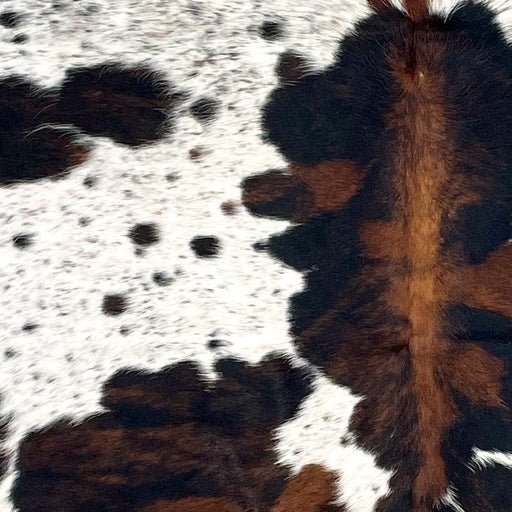 Closeup of this Colombian Speckled Tricolor Cowhide, showing white with black speckles and spots, and large and small spots that have a mix of black and brown (COTR1436)