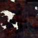 Closeup of this Large Colombian Tricolor Cowhide, showing a mix of dark reddish brown and black, and large and small, white spots with black speckles (COTR1437)