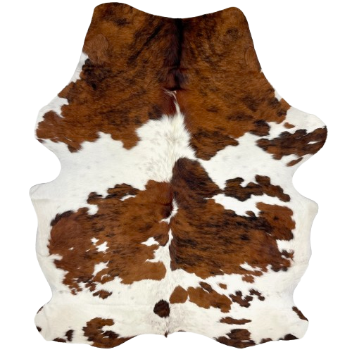 Large Colombian Tricolor Cowhide: white with large and small spots that have a brown and black, brindle pattern, and some faint, black speckles - 7'6" x 5'7" (COTR1438)