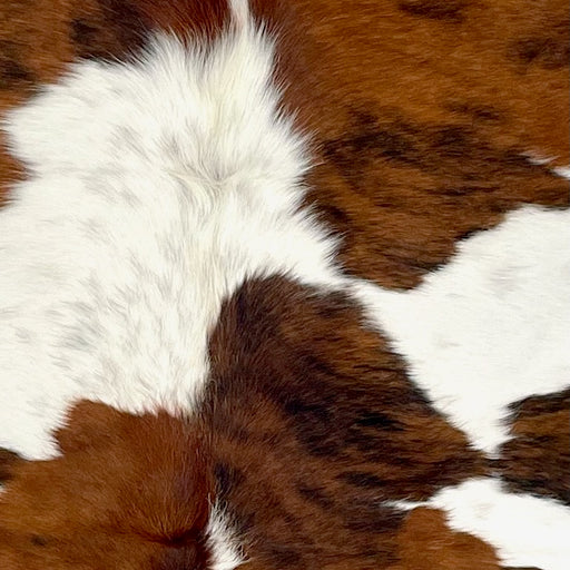 Closeup of this Large Colombian Tricolor Cowhide, showing white with large and small spots that have a brown and black, brindle pattern, and some faint, black speckles (COTR1438)