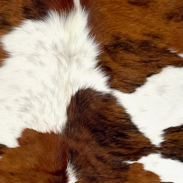 Closeup of this Large Colombian Tricolor Cowhide, showing white with large and small spots that have a brown and black, brindle pattern, and some faint, black speckles (COTR1438)