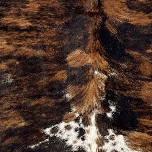 Closeup of this Colombian Tricolor Cowhide, showing black with brown spots, and white, with black and brown speckles and spots, on the butt (COTR1439)