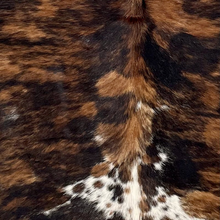 Closeup of this Colombian Tricolor Cowhide, showing black with brown spots, and white, with black and brown speckles and spots, on the butt (COTR1439)