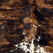 Closeup of this Colombian Tricolor Cowhide, showing black with brown spots, and white, with black and brown speckles and spots, on the butt (COTR1439)