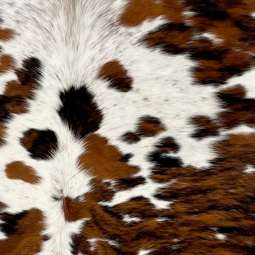 Closeup of this Colombian Tricolor Cowhide, showing white with black and brown speckles, and large and small spots with a brown and black, brindle pattern (COTR1440)
