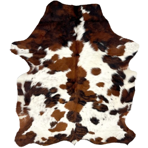 Colombian Tricolor Cowhide: has long hair that is white with faint, black and reddish brown speckles, and large and small spots that are black, reddish brown, or a mix of black and reddish brown - 6'7" x 5' (COTR1442)