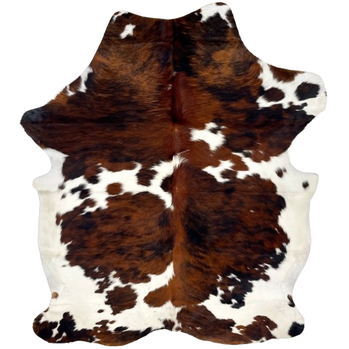 Colombian Tricolor Cowhide: white with large and small spots that have a reddish brown and black, brindle pattern - 6'11" x 5'2" (COTR1443)