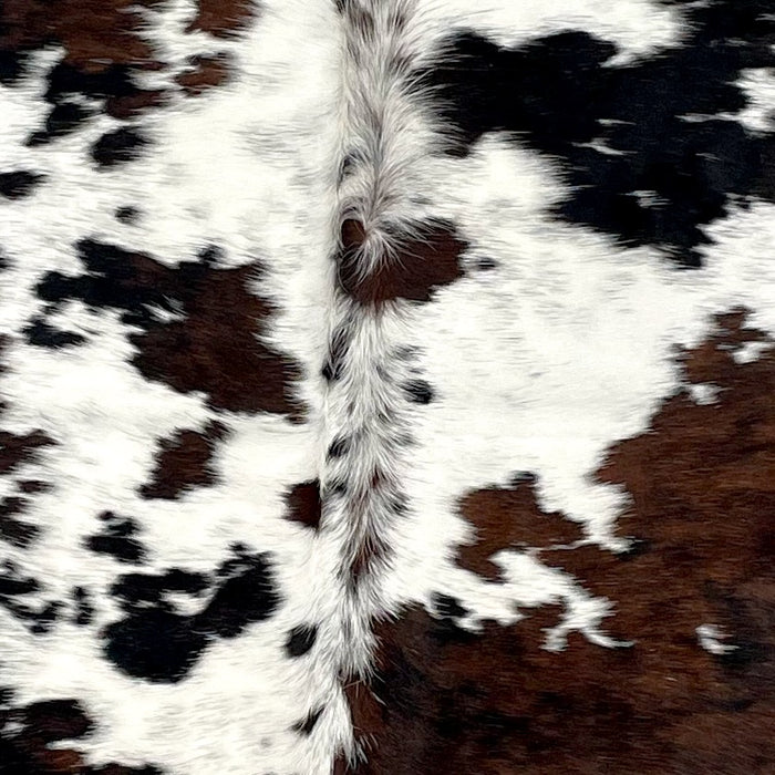 Closeup of this Colombian Tricolor Cowhide, showing white with black speckles and large and small, black and dark brown spots, some having a mix of dark brown and black (COTR1447)