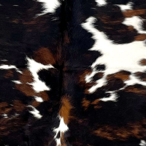 Closeup of this Colombian Tricolor Cowhide, showing white with large and small spots that have a mix of black and brown (COTR1454)