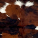 Closeup of this Colombian Tricolor Cowhide, showing a reddish brown and black, brindle pattern, and larger and small, white spots  (COTR1458)