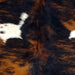 Closeup of this Colombian Tricolor Cowhide, showing a black and golden brown, brindle pattern, and large and small white spots with black speckles (COTR1459)