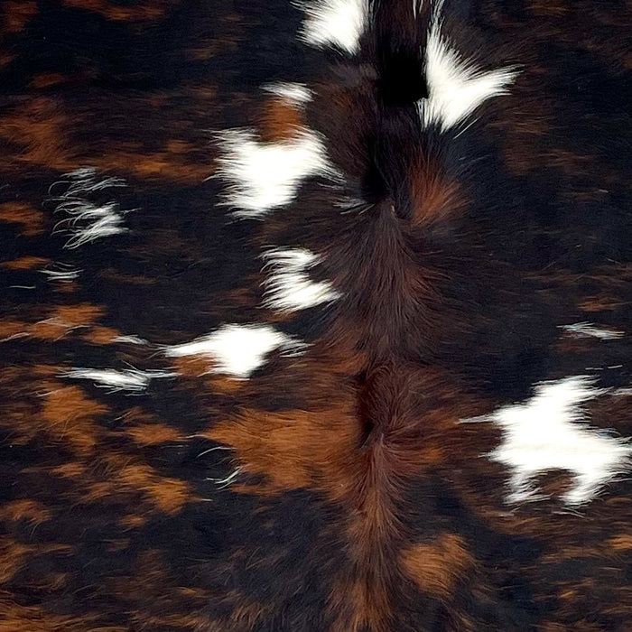 Closeup of this Colombian Tricolor Cowhide, showing a black and reddish brown, brindle pattern, with small, white spots on the back (COTR1460)