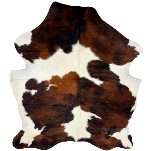 Colombian Tricolor Cowhide :white with large spots that have a reddish brown and black, brindle pattern - 6'8" x 5'1" (COTR1461)