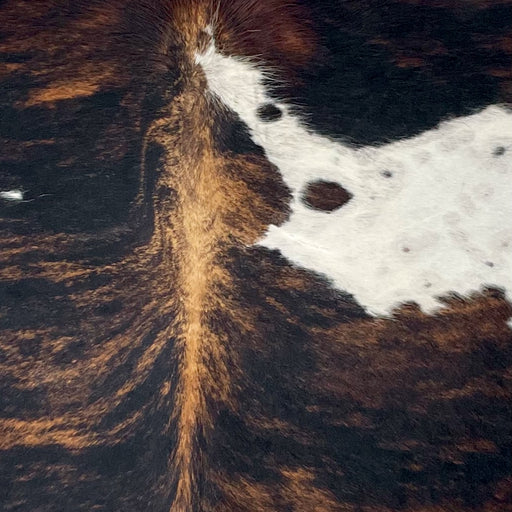 Closeup of this Colombian Tricolor Cowhide, showing a black and brown, brindle pattern and white with black and brown spots and faint speckles (COTR1463)